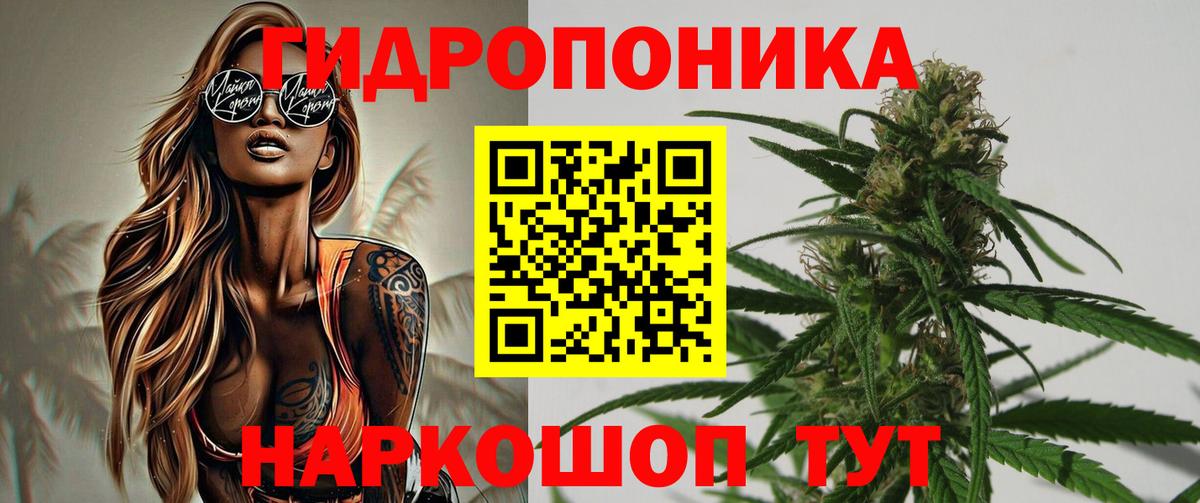 Шишки марихуана семена  Шишки марихуана сатива  Гулькевичи  Каннабис SATIVA & INDICA  Бошки Шишки планчик  Вход с VPN 